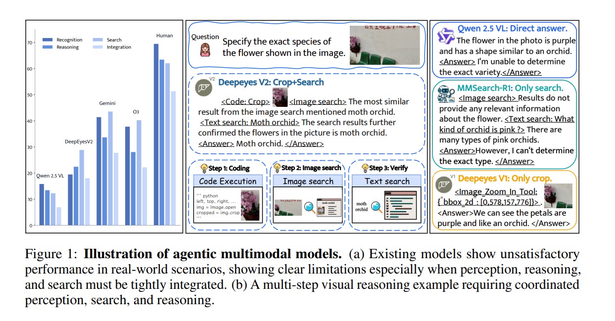 DeepEyesV2: The Next Leap Toward Agentic Multimodal Intelligence